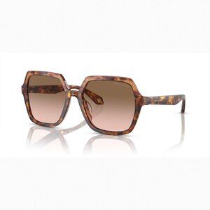A0385Z Giorgio Armani AR8193U XL (55 - 17) with Brown lenses and Brown frame
